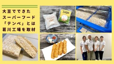 【テンペ】大豆でできたスーパーフードとは？葛川の工場を取材！